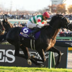 【ジャパンカップ】ヴェラアズール強すぎワロタwwwwww