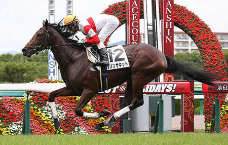 ダノンザキッド、ダノンスコーピオンは香港国際競走へ　川田は当日は阪神で騎乗