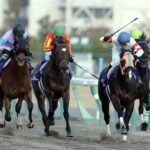 フェブラリーSとチャンピオンズCがG2降格後にG1昇格する芝レースは?