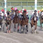 【競馬】岩田望来さん、早くも三浦皇成に並ぶ国内G1勝利【ヴァレーデラルナ・JBCレディスクラシック】