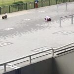 【競馬】第39回マイルCS(GI) 予想[6] ヒロシ、柏木集保の本命馬がこちら