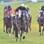 【競馬】論説「天皇賞は実質スローペースの凡戦。戦犯は・・・」