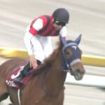 【競馬】トーセンスーリヤ・・競走中止【OROカップ(地方全国交流) 盛岡芝1700m】