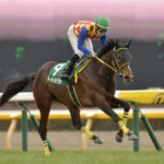 【競馬予想】第60回アルゼンチン共和国杯(GⅡ) /2022