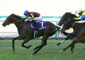 【競馬予想】[2]第47回エリザベス女王杯(GⅠ) /2022