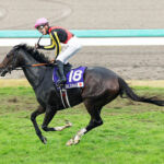 【エリザベス女王杯】大外枠4番人気ジェラルディーナが重馬場制す!G1初制覇