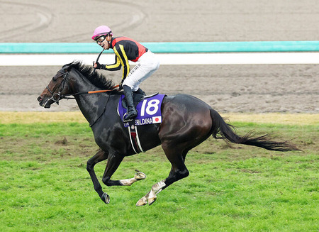 【エリザベス女王杯】大外枠4番人気ジェラルディーナが重馬場制す！G1初制覇