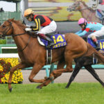 天皇賞秋9着のジオグリフは香港カップへ