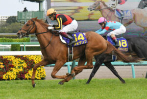 天皇賞秋９着のジオグリフは香港カップへ