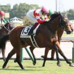 【競馬予想】第57回デイリー杯2歳ステークス(GⅡ) /2022