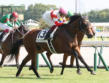 【競馬予想】第57回デイリー杯2歳ステークス(GⅡ) /2022