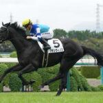 【競馬予想】第9回ラジオNIKKEI杯京都2歳ステークス(GIII) /2022 part1