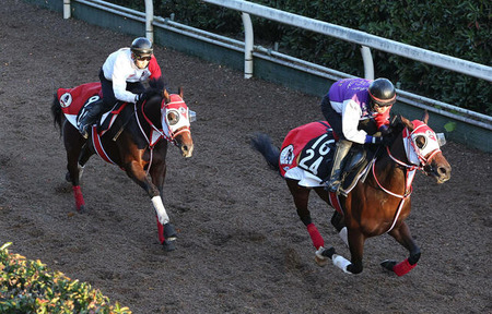 【東スポ杯2歳S】矢作師フェイトの最終追い切りで落胆「もう1段階上がってほしかった」