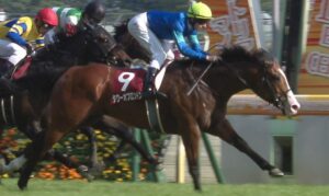 【競馬・エリザベス女王杯】マジカルラグーン被害者の会【愛オークス馬・18着】