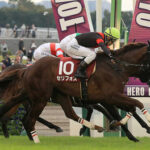 【競馬予想】[2]第39回マイルチャンピオンシップ(GI) /2022