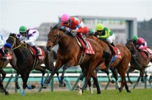 重賞3勝の8歳馬カデナ引退、種牡馬入り