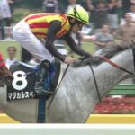【競馬】第39回マイルCS(GI) 予想[2] 今週も外国人騎手のワンツースリーがあるのか