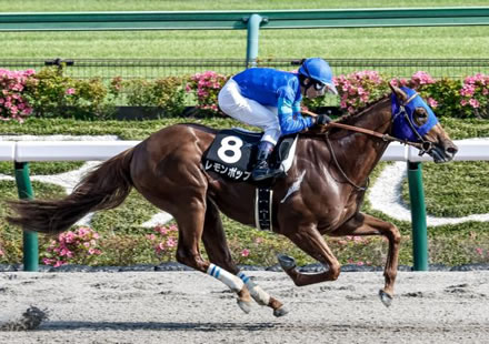 【競馬予想】第27回武蔵野ステークス(GIII) /2022