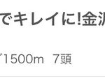 金沢競馬場、キレイになる