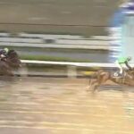 【競馬】浦和記念は武豊騎乗のクリノドラゴンがV