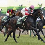 【競馬予想】[2]第42回ジャパンカップ(GⅠ) /2022