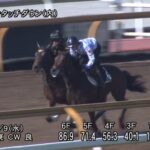 【デイリー杯2歳ステークス2022】追い切り/動きを見極め勝利に近づけ