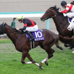 【マイルCS】6番人気3歳馬セリフォスが大外から差し切りV!G1初制覇!