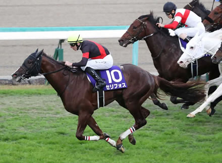 【マイルCS】6番人気3歳馬セリフォスが大外から差し切りV！G1初制覇！