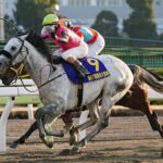【競馬予想】第12回みやこステークス(GIII) /2022