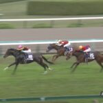 【エリザベス女王杯2022】結果・動画/ジェラルディーナが豪快に差し切る