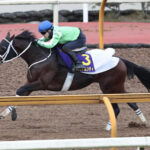 【競馬予想】[2]第23回チャンピオンズカップ(GI) /2022