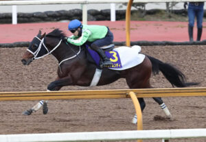 【競馬予想】[2]第23回チャンピオンズカップ(GI) /2022