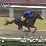 【京阪杯2022】追い切り/追い切りが結果につながる