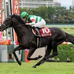 【競馬予想】[1]第42回ジャパンカップ(GⅠ) /2022