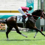 【東スポ杯2歳S】フェイトとは何だったのか