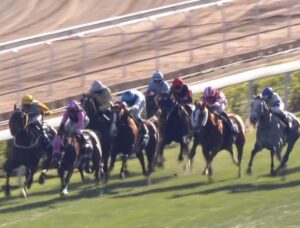 【競馬】 現役世界最強馬フライトラインが引退 6戦6勝で生涯71馬身差、BCクラシック衝撃の有終V