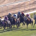 【競馬】米ウォーライクゴッデス(牝5・13戦9勝)が有馬記念(GI)に予備登録wwwww