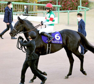 【有馬記念】ヴェラアズールとはなんだったのか