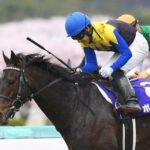 ポタジェ 大阪杯1着→宝塚記念11着→天皇賞13着→有馬記念12着 マジで大阪杯とはなんだったのかw