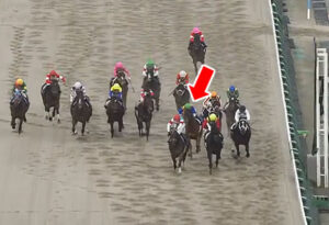 【チャンピオンズC】単勝1.5倍テーオーケインズとは何だったのかｗｗｗｗ