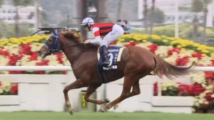 香港ヴァーズ制覇のウインマリリンがドバイシーマクラシックに参戦！