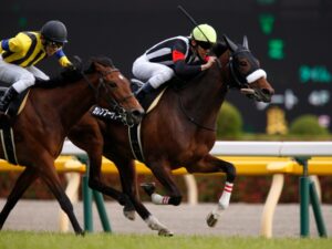 G1勝ってない牝馬で最強は