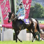デアリングタクトは復帰してから一番いい状態だったし松山が騎乗してれば勝ててた可能性あるよな