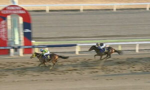 【東京大賞典】オルフェーヴル産駒、初年度から6年連続G1勝利