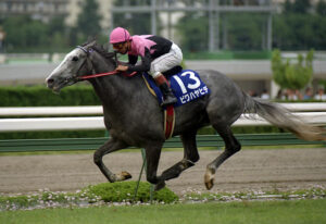 戦国時代の合戦で乗る馬を好きに選べるならどのサラブレッドにする？