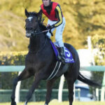 【有馬記念】女王ジェラルディーナ意地の3着死守