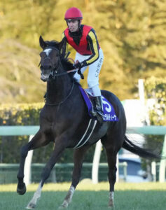 【有馬記念】女王ジェラルディーナ意地の3着死守