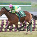 サトノダイヤモンドはなぜ種牡馬成功してしまったのか