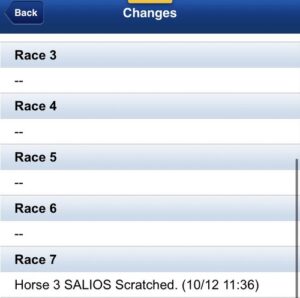 サリオス香港出走取り消し