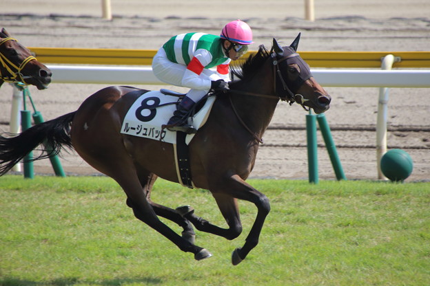 日本競馬史上最も過大評価された馬
